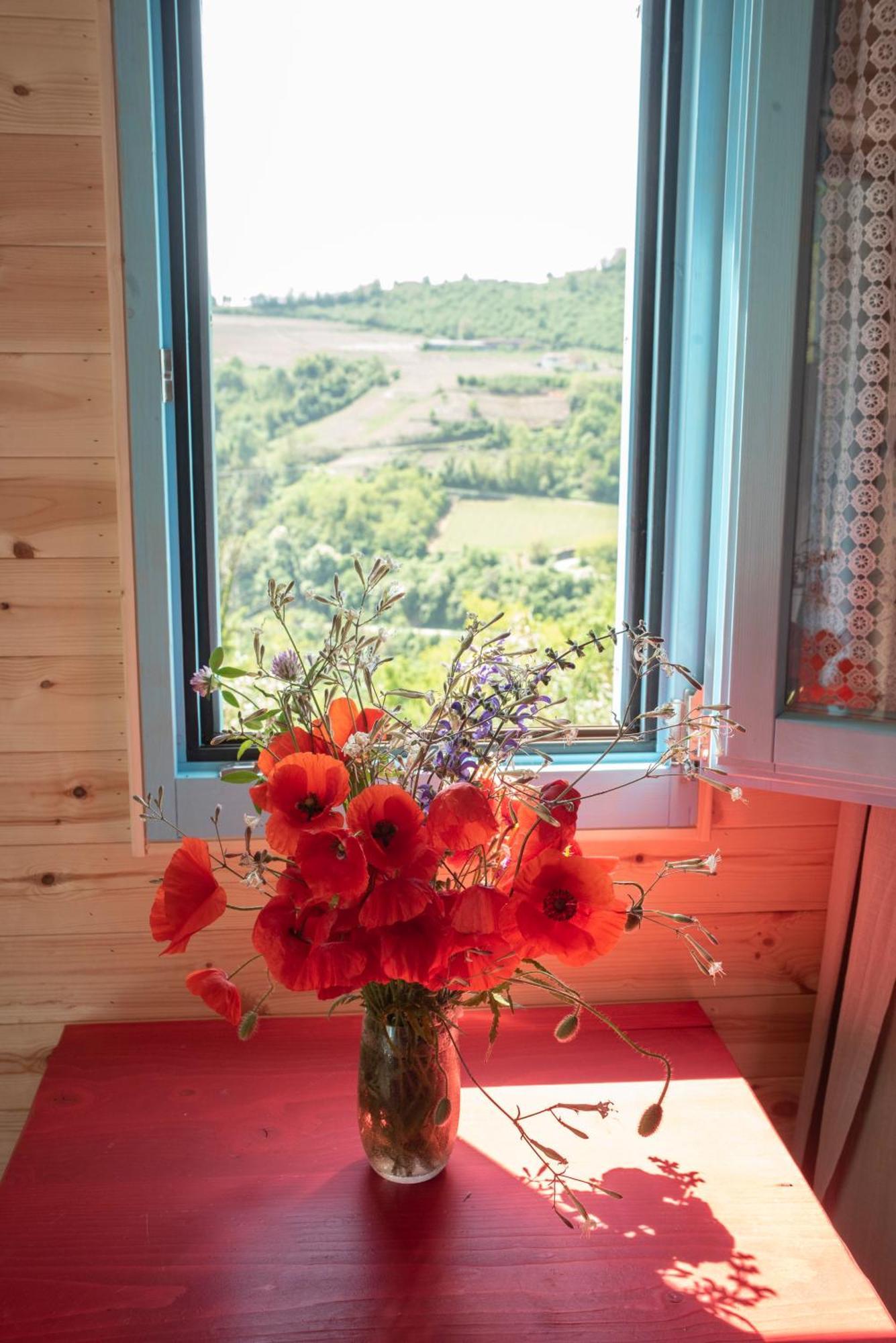 Agriturismo La Rovere - I Carrozzoni Gitani Cossano Belbo エクステリア 写真